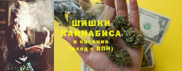 индика Киреевск