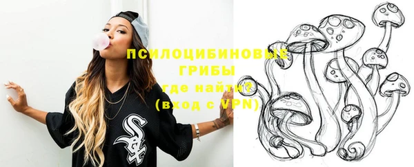 индика Киреевск