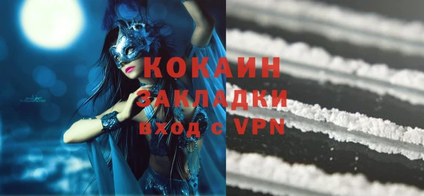 индика Киреевск