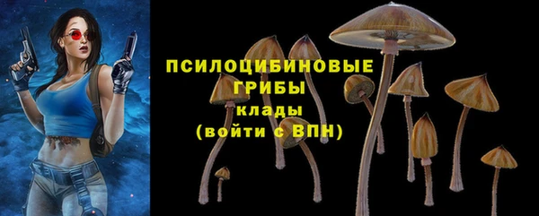 соль ск Кинешма