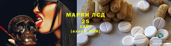 индика Киреевск