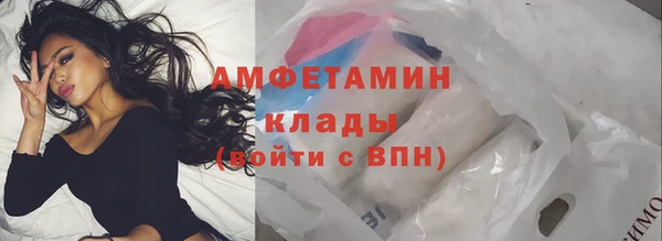 индика Киреевск