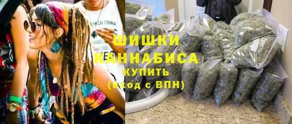 индика Киреевск