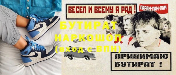 индика Киреевск
