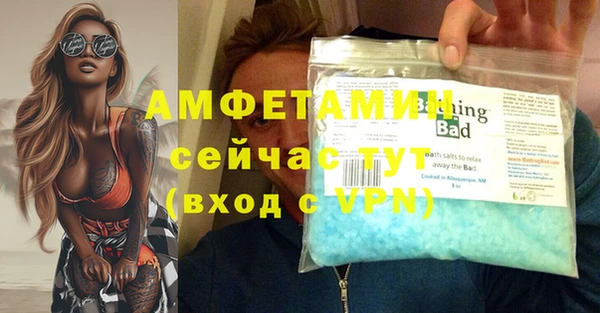 индика Киреевск