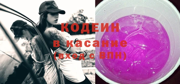 индика Киреевск