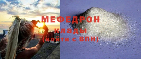 индика Киреевск
