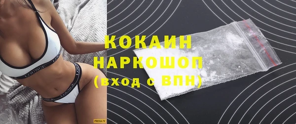 индика Киреевск