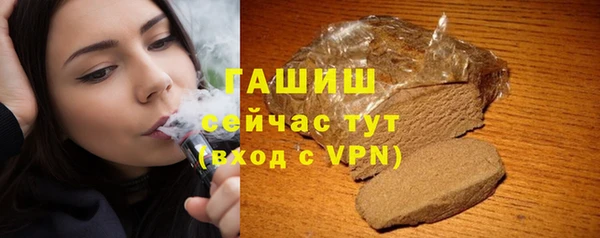 индика Киреевск