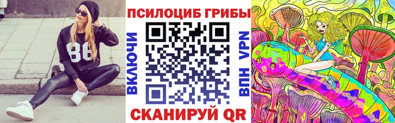 Купить закладки  Богучар  Псилоцибиновые грибы GOLDEN TEACHER 